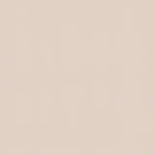 aesthetic neutral wallpaper
