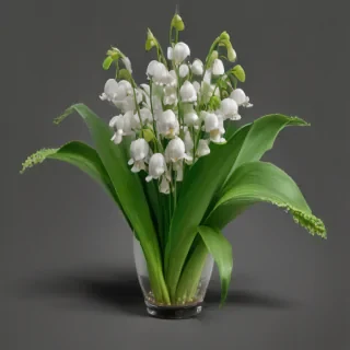 lily of the valley png
