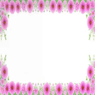 aesthetic flowers transparent background