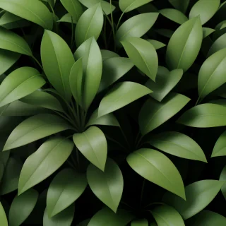 plant zoom background