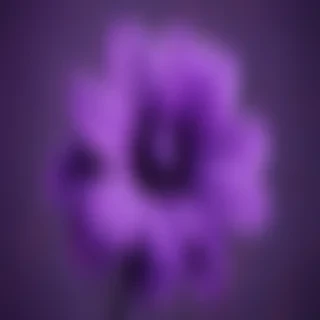 purple cute wallpaper