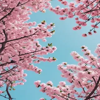 spring desktop wallpaper aesthetic