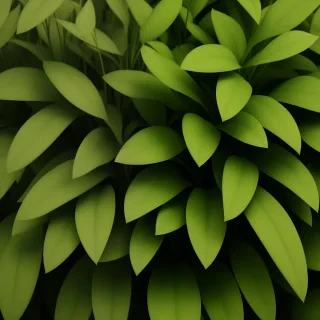 plant zoom background