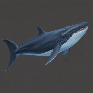 blue whale png