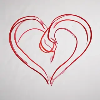 heart outline transparent
