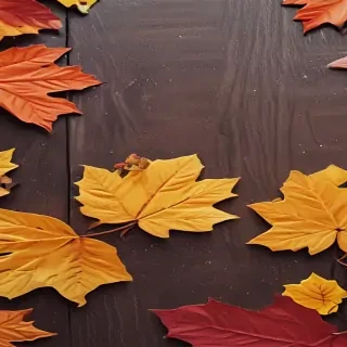 iphone cute fall wallpaper