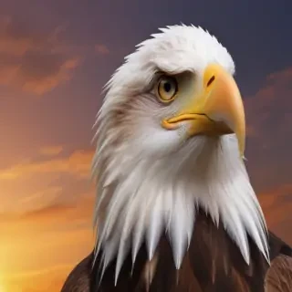 eagle wallpaper