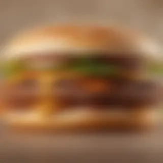 burger png