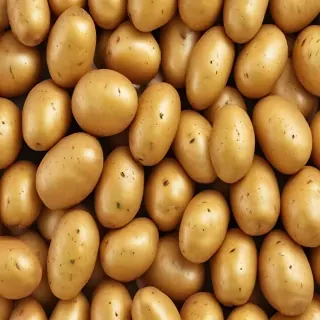 potato png