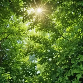 background green leaves