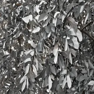 eucalyptus clipart black and white