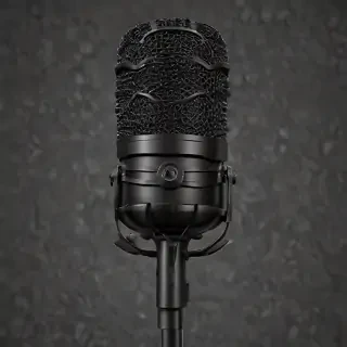 microphone transparent