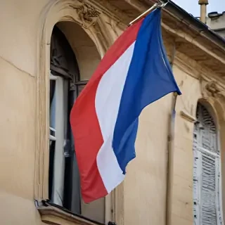 french flag
