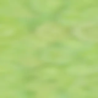lime green background