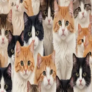 cats wallpaper aesthetic