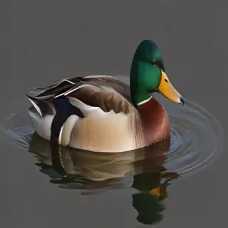 duck png