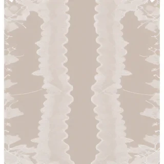 lace transparent png