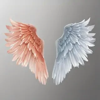 wings transparent background