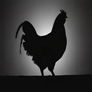 silhouette of a chicken