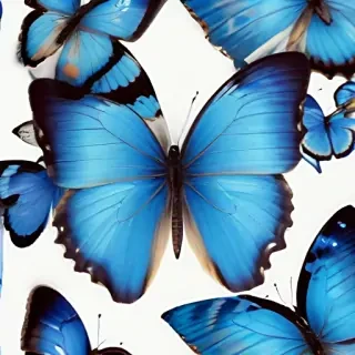 blue butterfly png