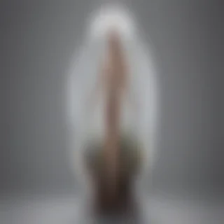 aesthetic transparent png