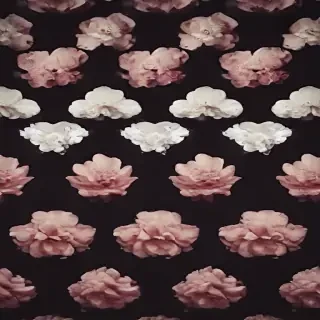 ig background