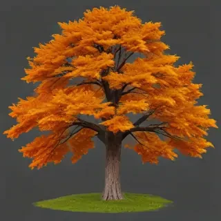 autumn tree png