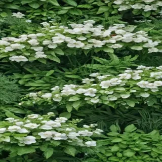 white and greenery background