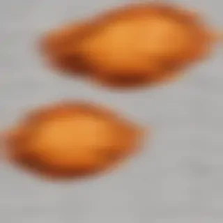 fried chicken png