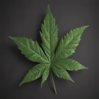 pot leaf png