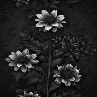 wallpaper black android