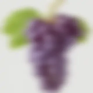 grape png