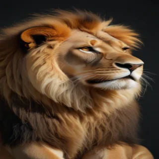 lion transparent background