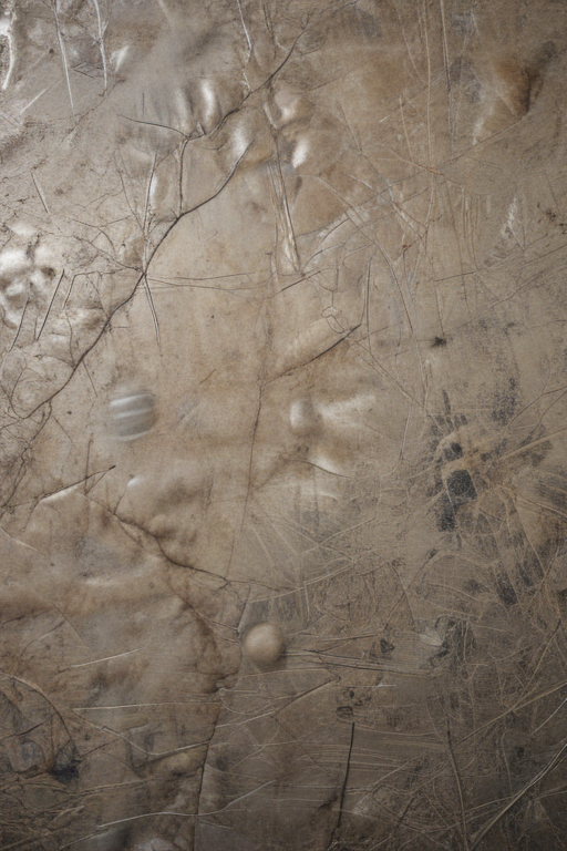 Intricate Patterns and Textures on a Weathered Surface of Natural Material