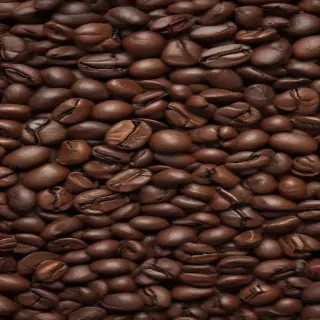 coffee beans png