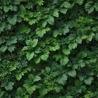 aesthetic green wallpapers