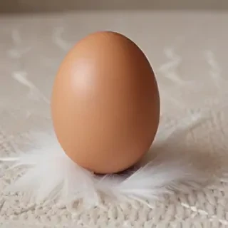 easter egg