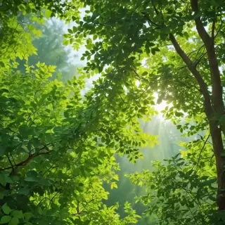 background green leaves
