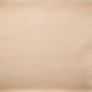 ripped paper png transparent