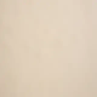 ivory background