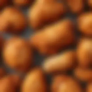 fried chicken png
