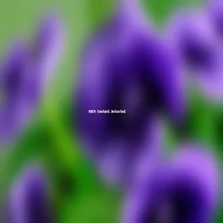 violets png