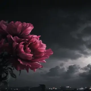 wallpapers black aesthetic