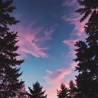 iphone wallpapers aesthetic