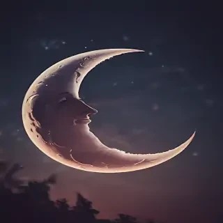 aesthetic crescent moon