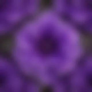 purple flower png