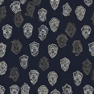 police backgrounds
