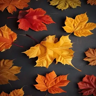 autumn leaves iphone wallpaper