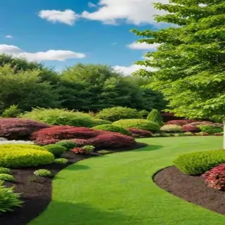 landscaping background