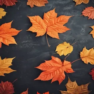 iphone wallpaper fall